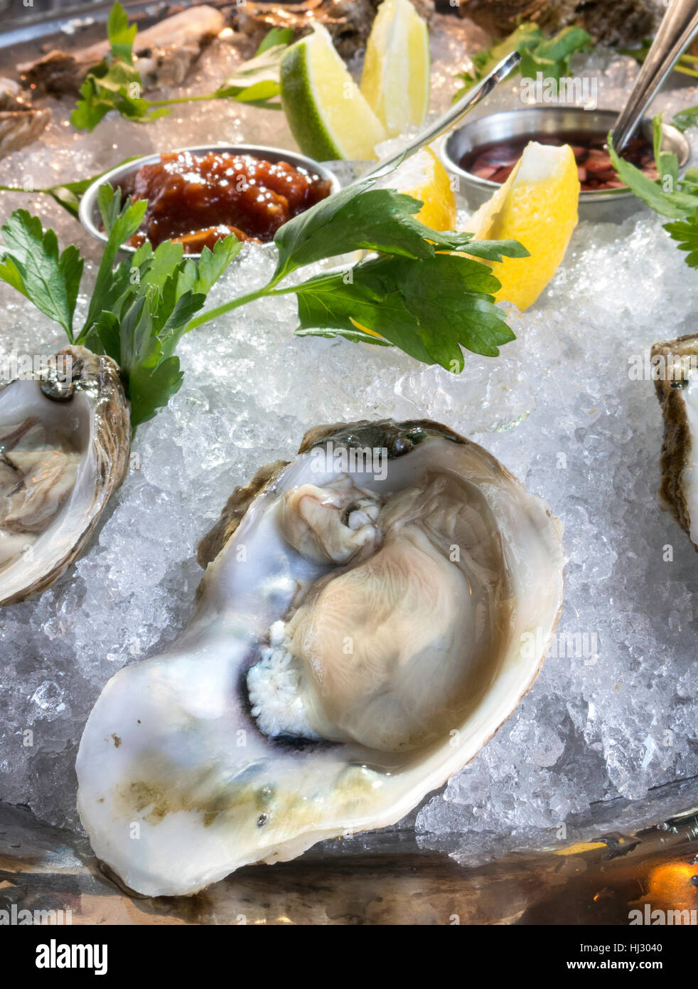 Raw Oysters on the Halfshell, Gourmet Restaurant Dining, USA Stock Photo