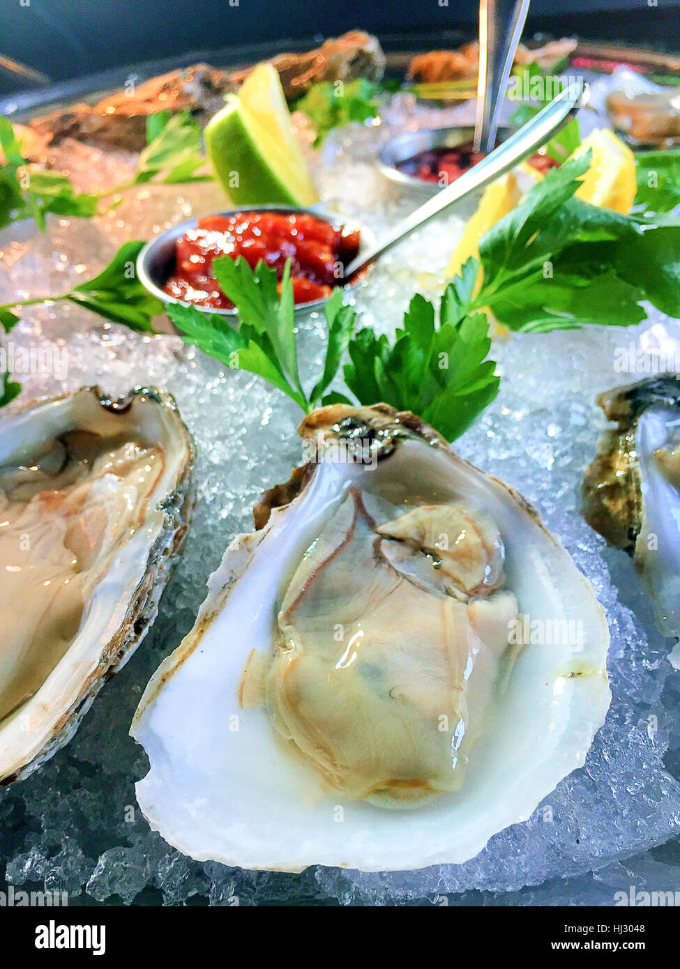 Raw Oysters on the Halfshell, Gourmet Restaurant Dining, USA Stock Photo