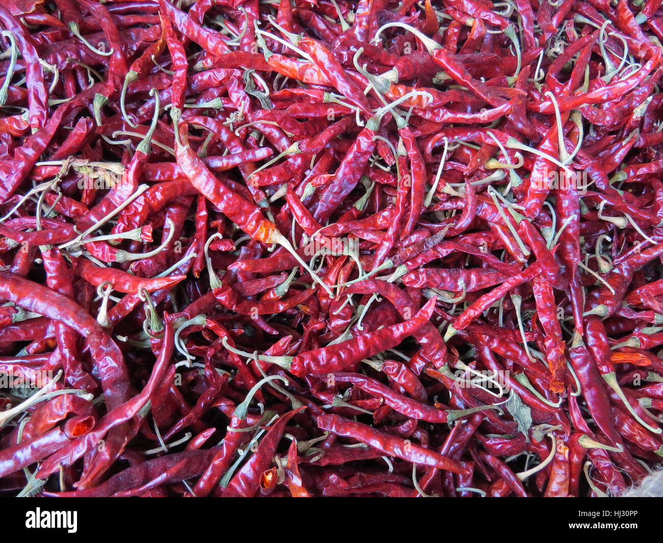 A background of very spicy and sun dried red chillies in a farm Stock