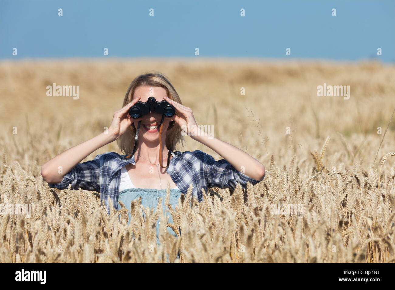woman, field, summer, summerly, corn field, shine, shines, bright, lucent, Stock Photo
