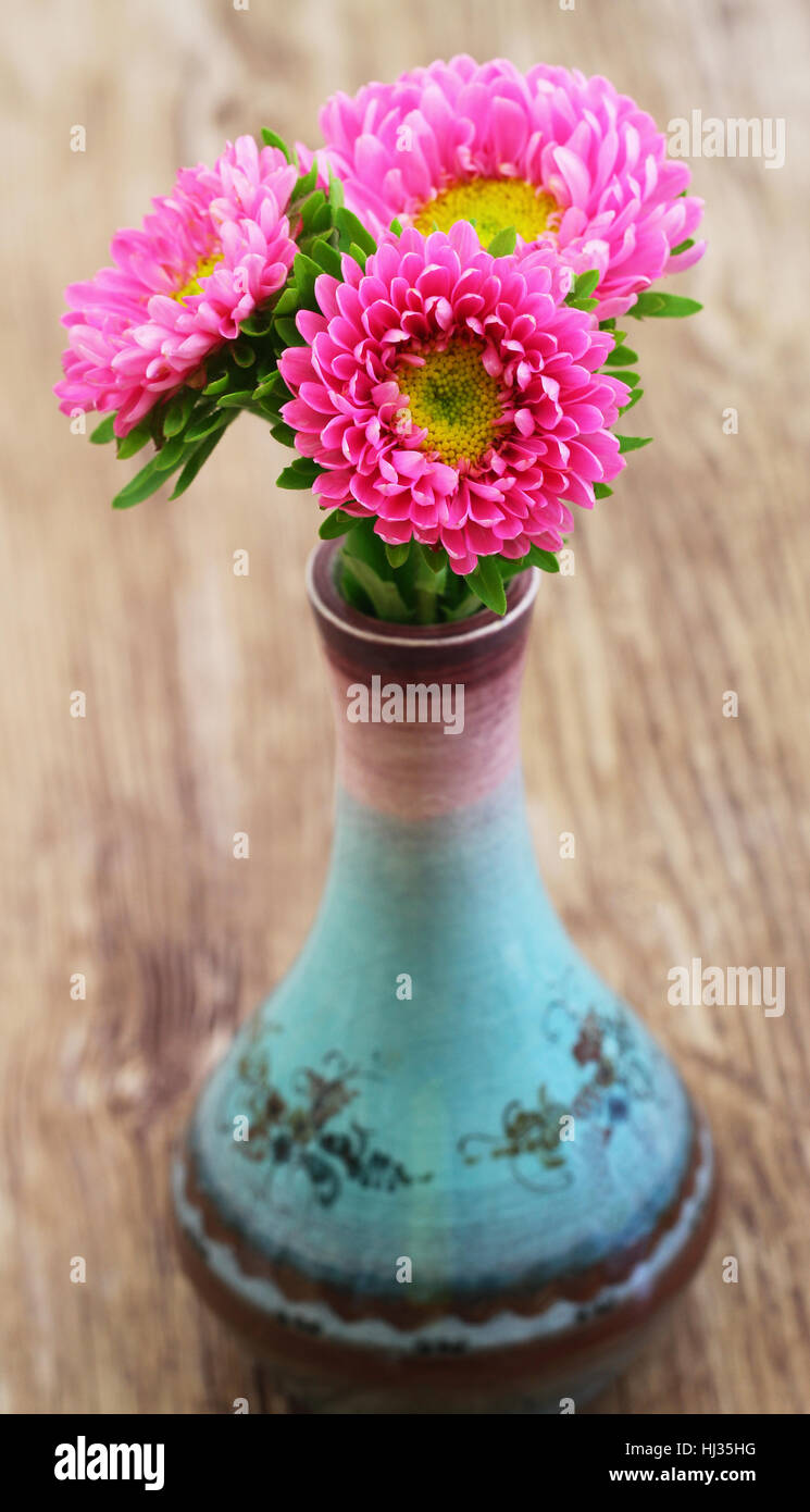 Pink daisies in fine porcelain vase on wooden surface Stock Photo
