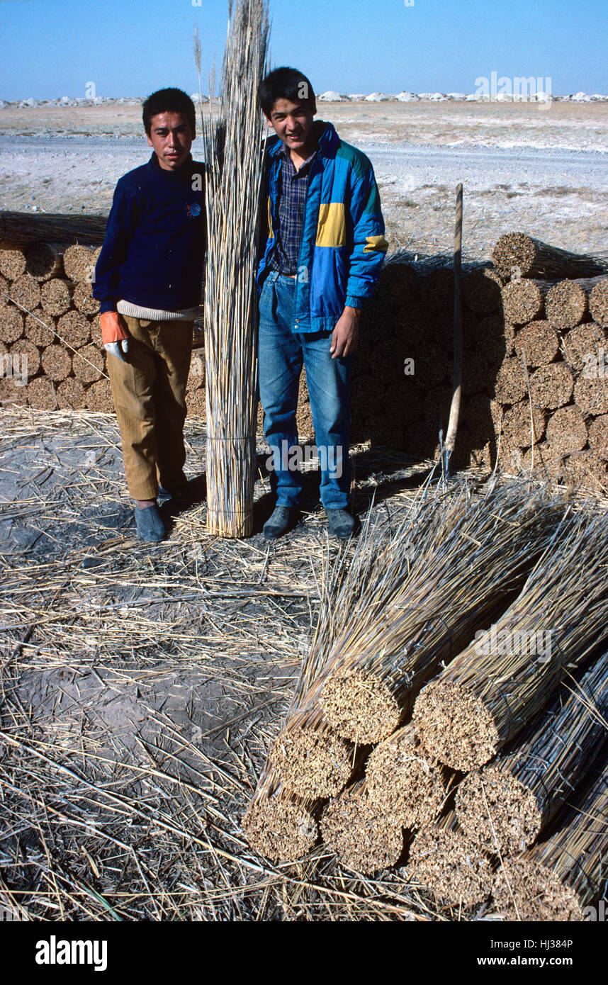 Young Turkish Reed Cutters Cutting Reeds in the Sultan Marshes ...