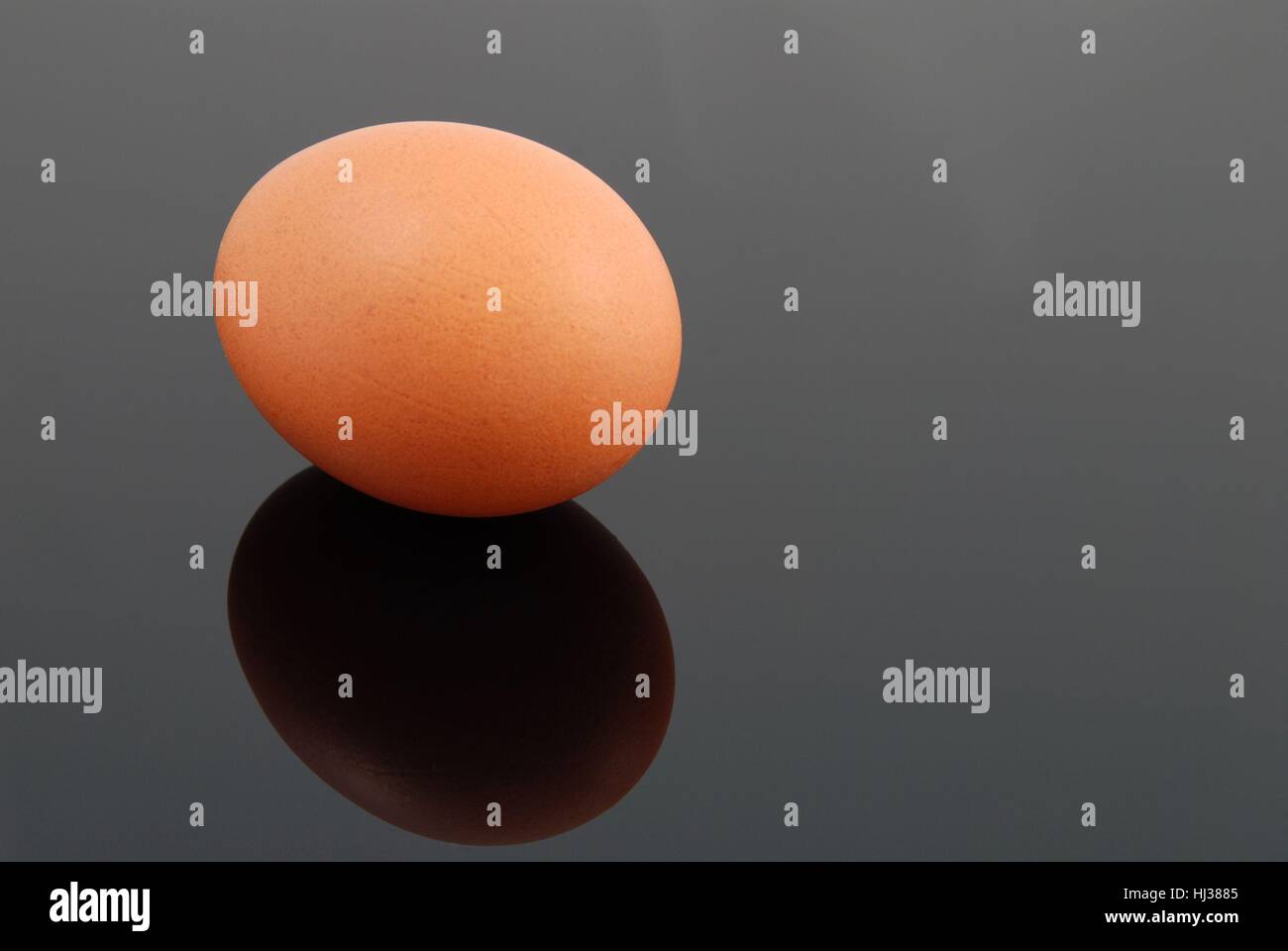 a brown natural looking egg on black background Stock Photo - Alamy
