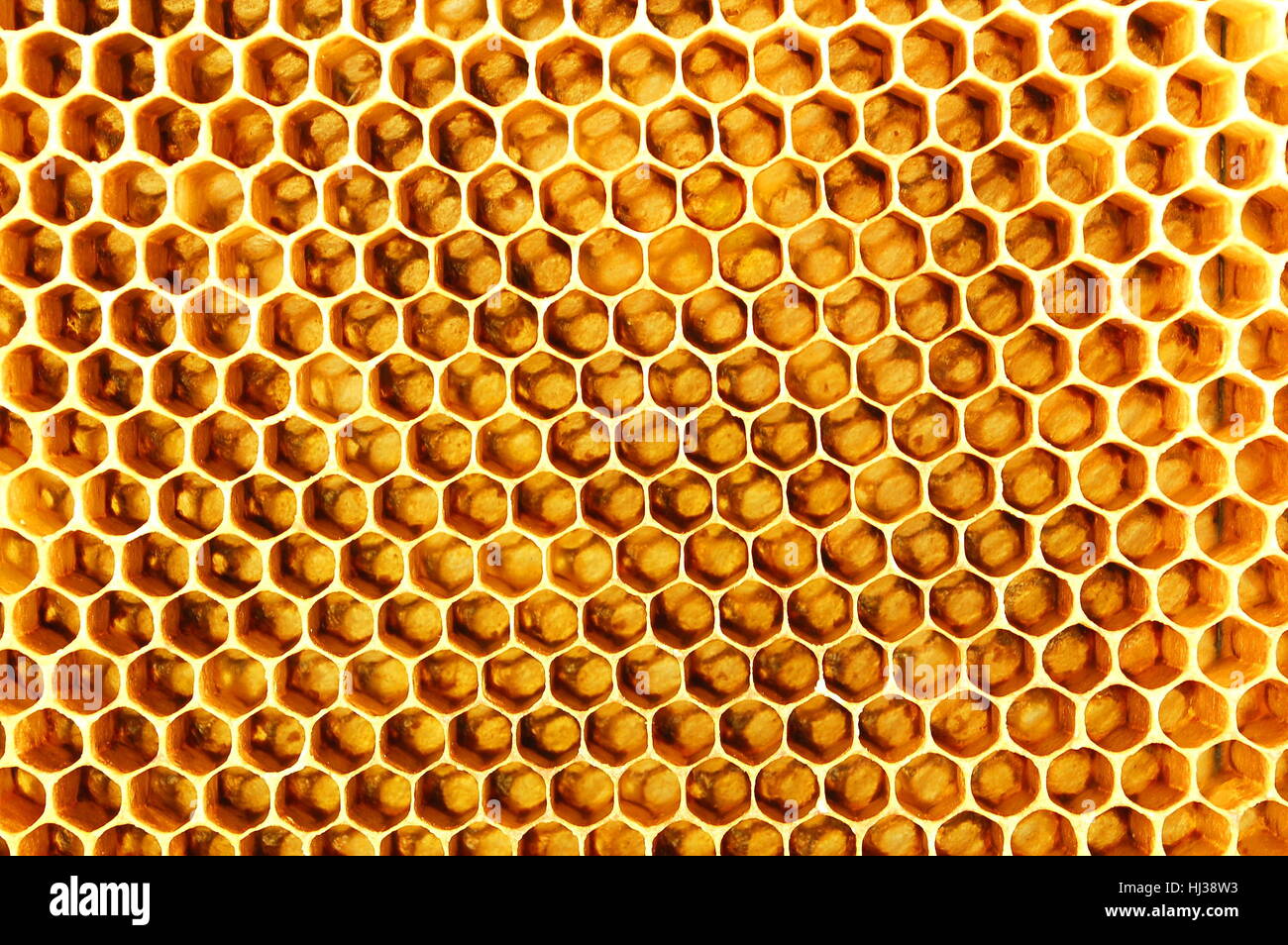 health, symmetry, apiary, wallpaper, honeycomb, insect, bee, natural ...
