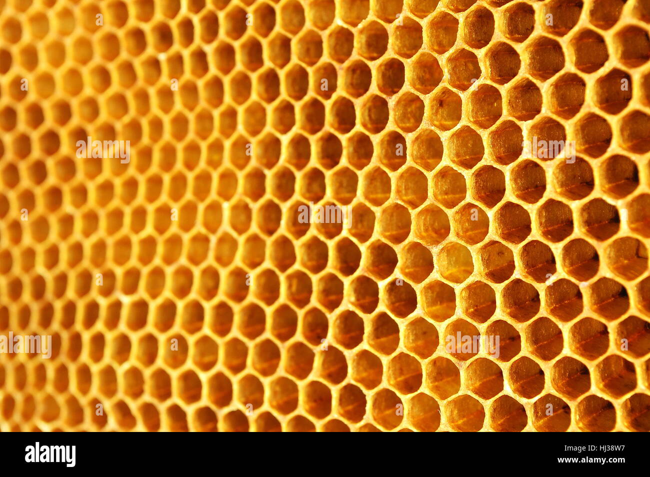 health, symmetry, apiary, wallpaper, honeycomb, insect, bee, natural ...