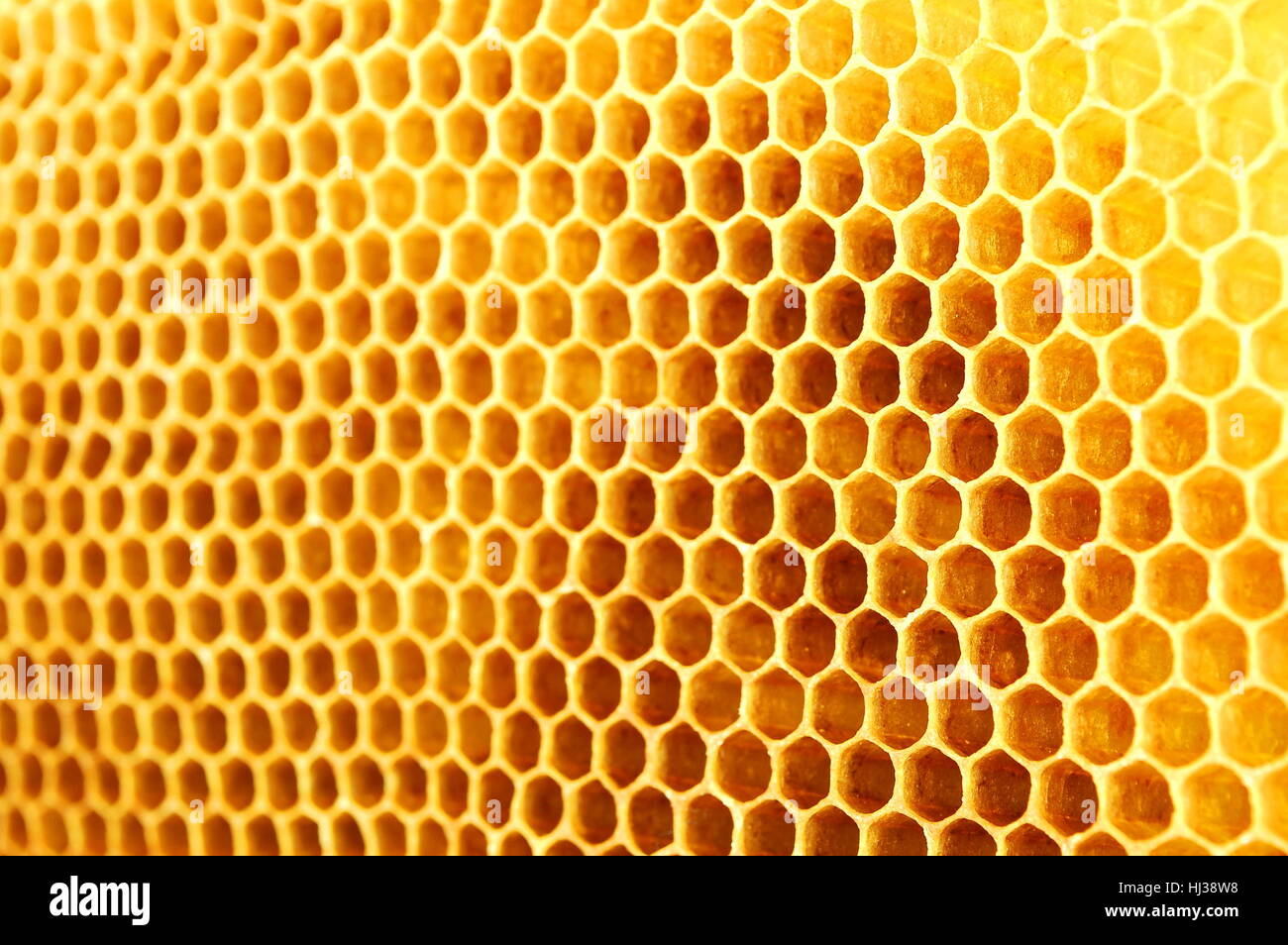 health, symmetry, apiary, wallpaper, honeycomb, insect, bee, natural ...