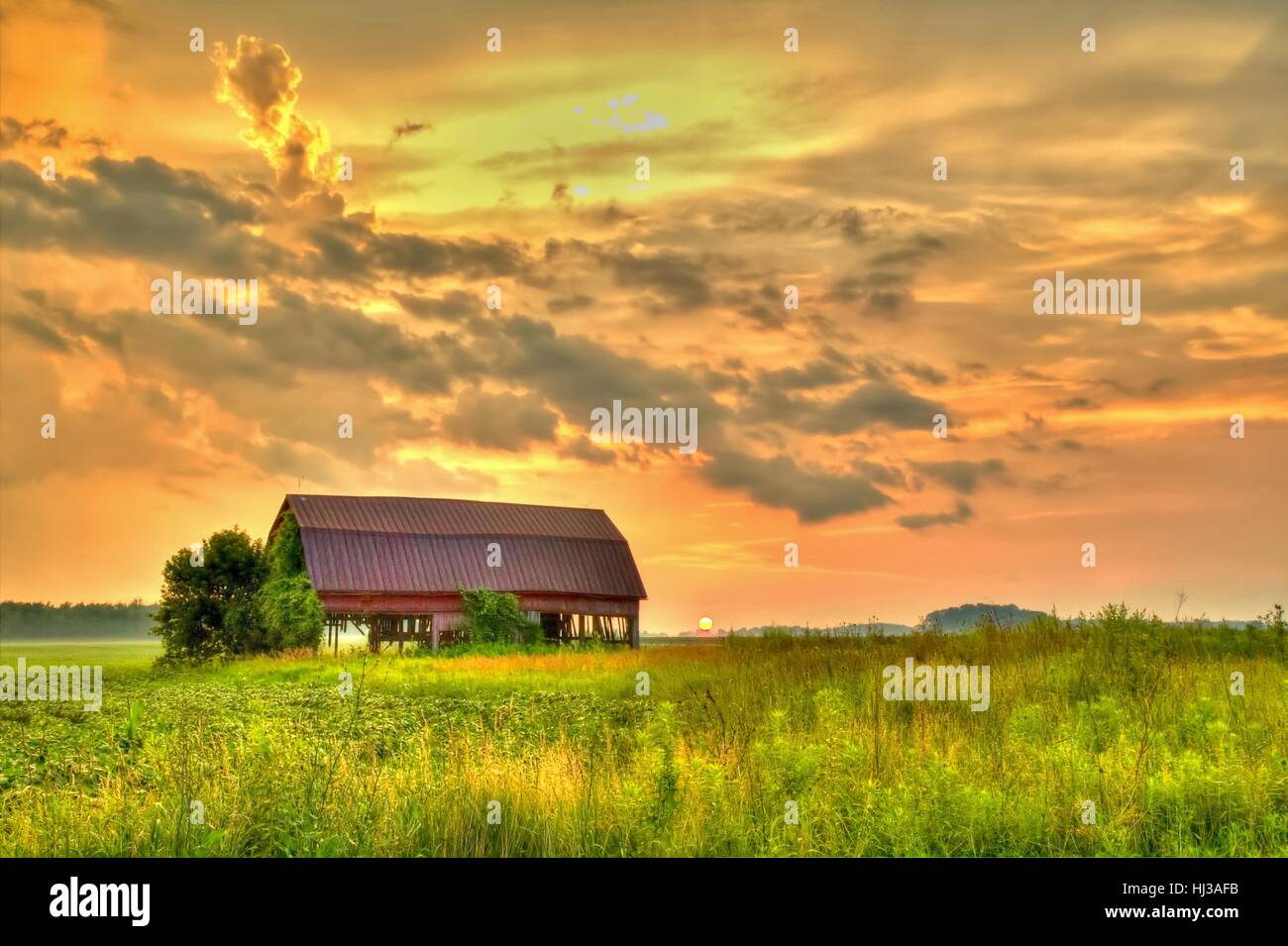 Midwest Farm Sunset Landscape. Traditional red wooden barn in an farm field with a beautiful