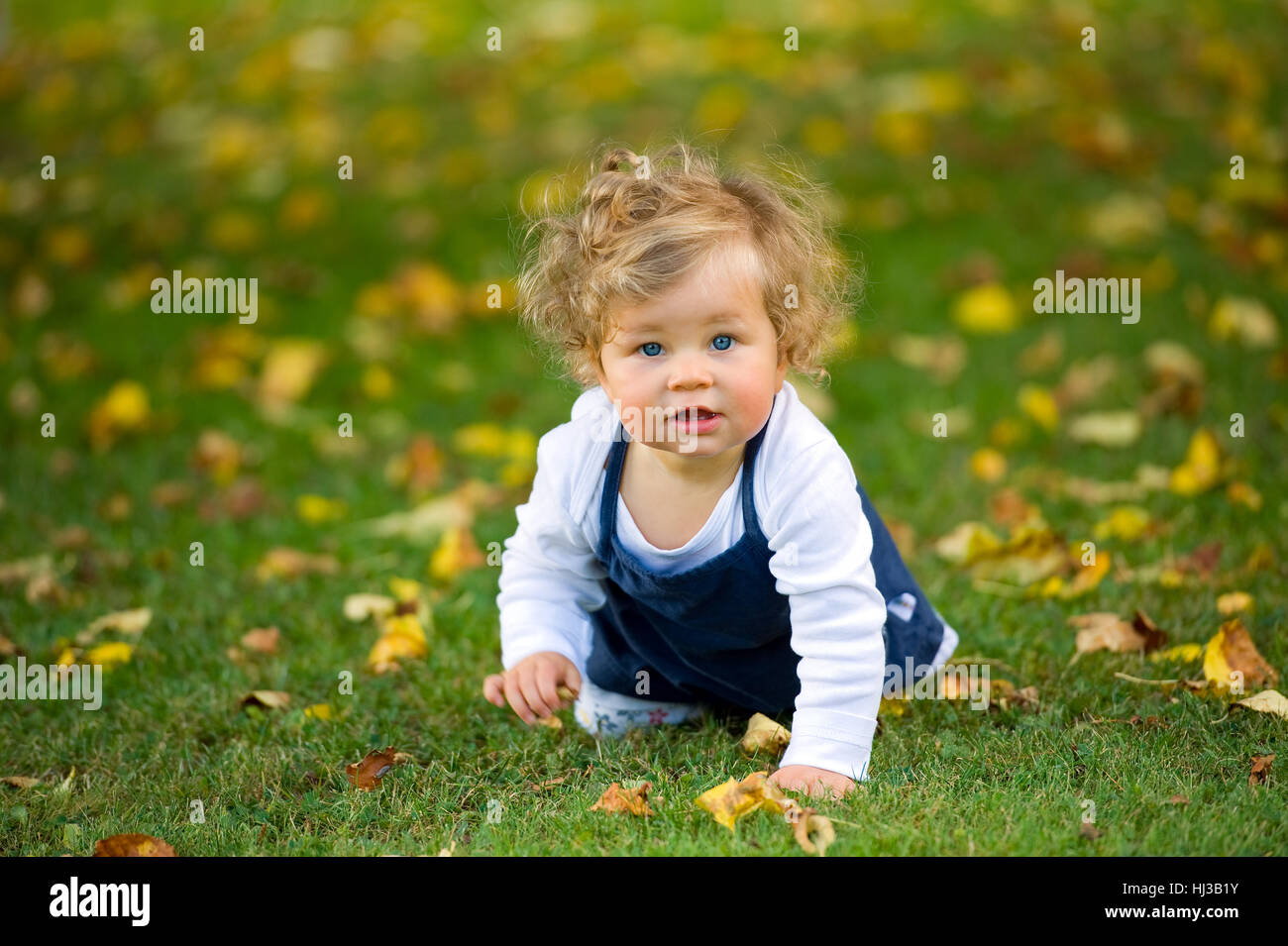 baby is crawling in the fall-meadow Stock Photo - Alamy