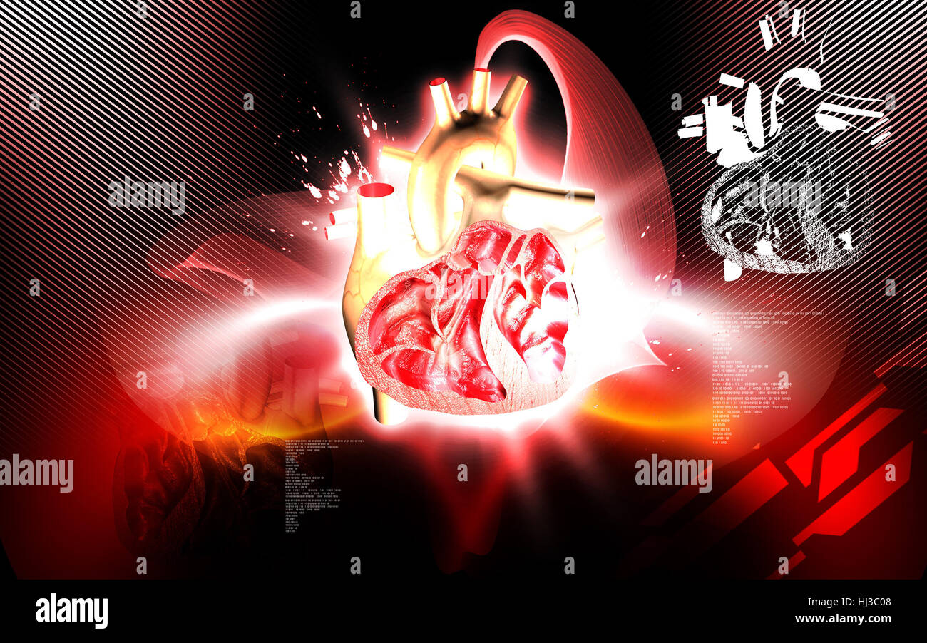 Circulation Graphics education, health, medicinally, medical, circulation, graphics, colour ...
