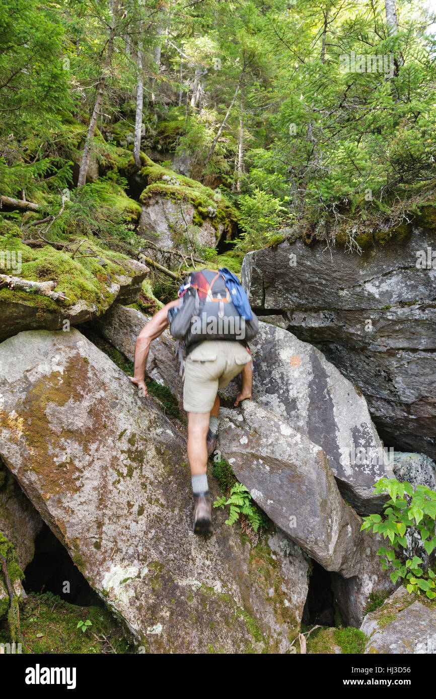 Ice Gulch - Hikers make their way along the Ice Gulch Path in Randolph, New Hampshire during the summer months. Stock Photo