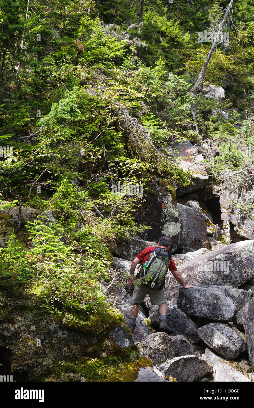 Ice Gulch - Hiker along the Ice Gulch Path in Randolph, New Hampshire during the summer months. Stock Photo