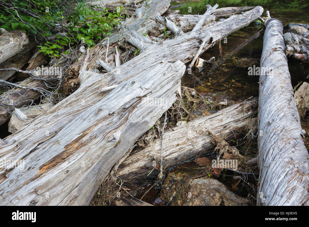 Greeley Ponds Scenic Area - Greeley Pond in the White Mountains, New Hampshire USA Stock Photo