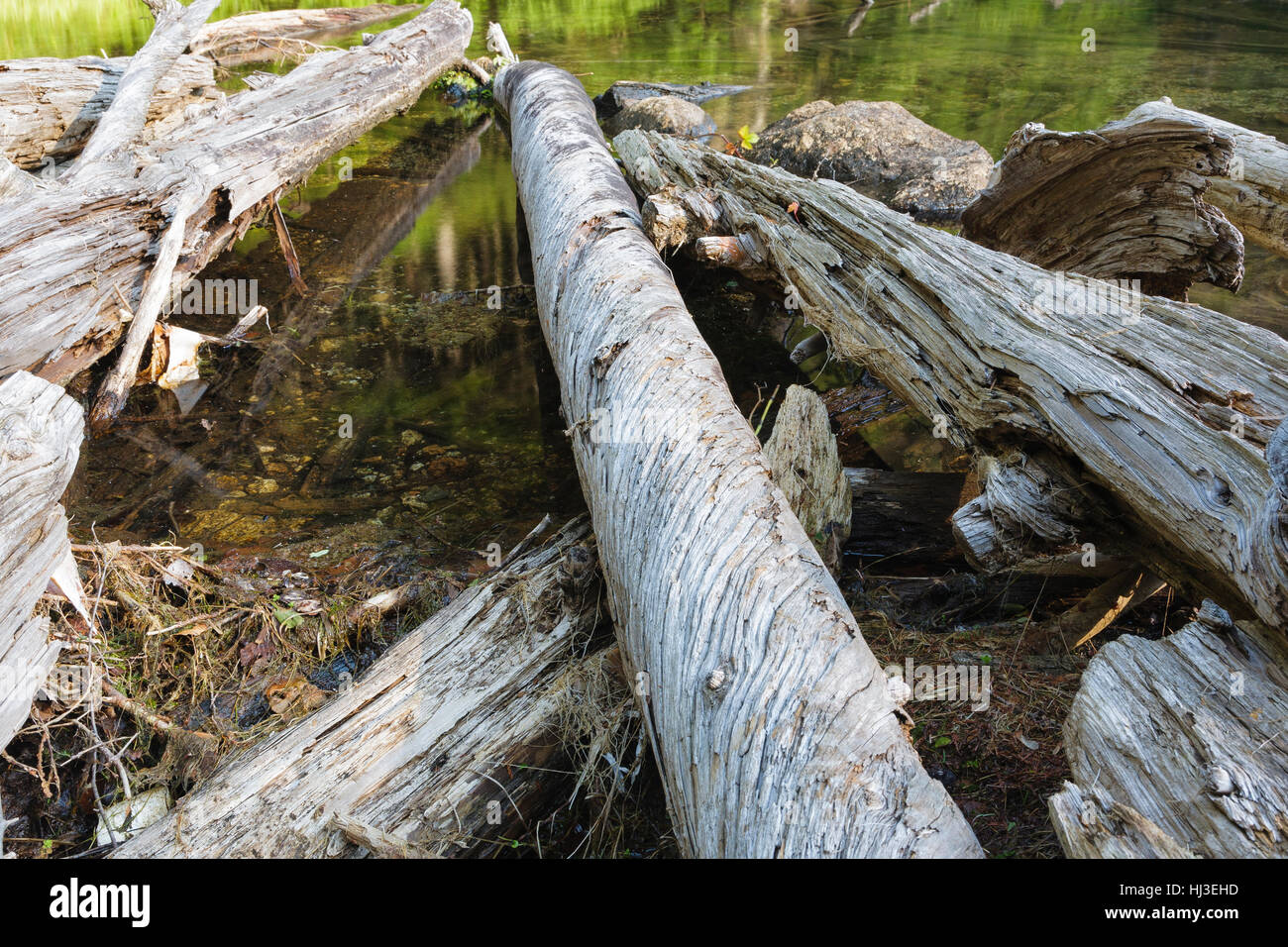Greeley Ponds Scenic Area - Greeley Pond in the White Mountains, New Hampshire USA Stock Photo