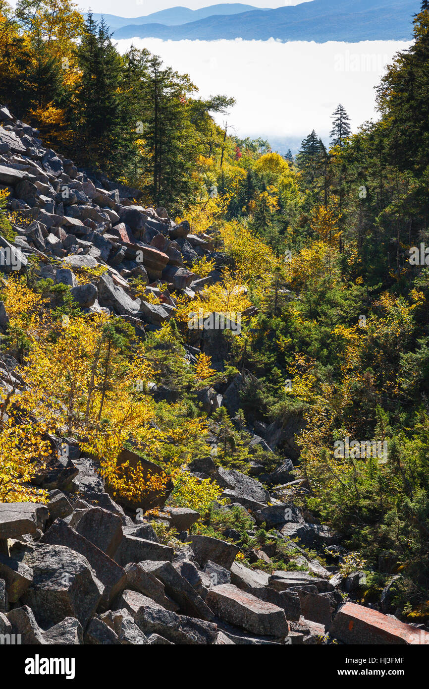 Ice Gulch - Talus slope community along the Ice Gulch Path in Randolph, New Hampshire USA. Ice can be found in this ravine year round. Stock Photo