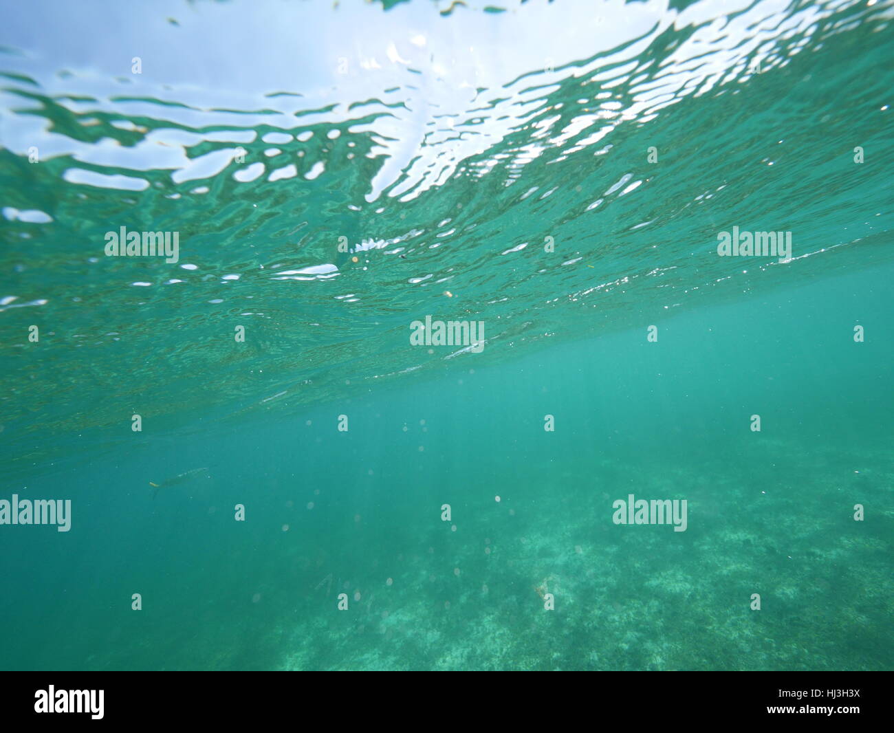 caribbean sea split level Stock Photo - Alamy