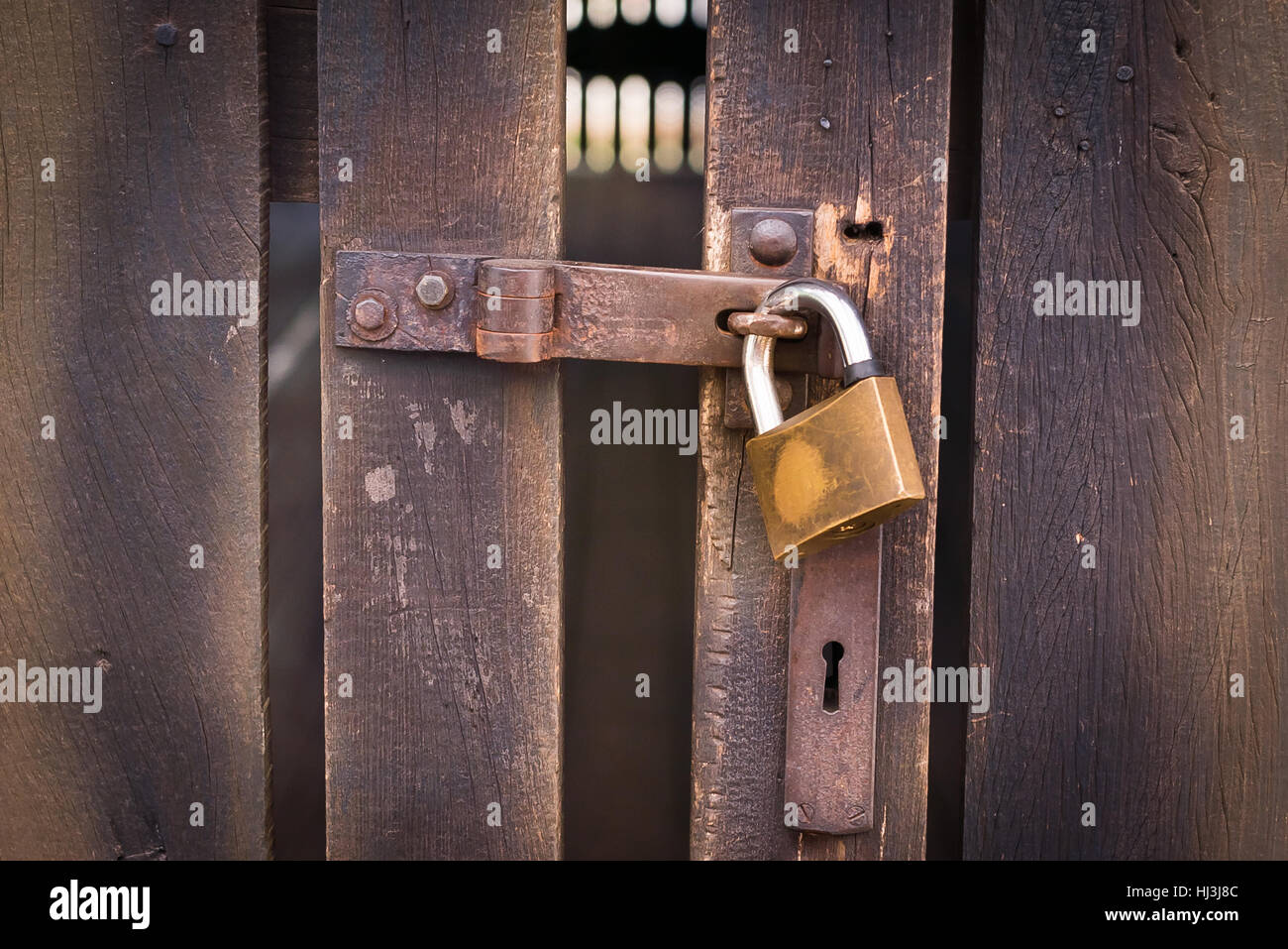 Close up view of a padlock with an old metal hasp and staple on an old wooden door Stock Photo