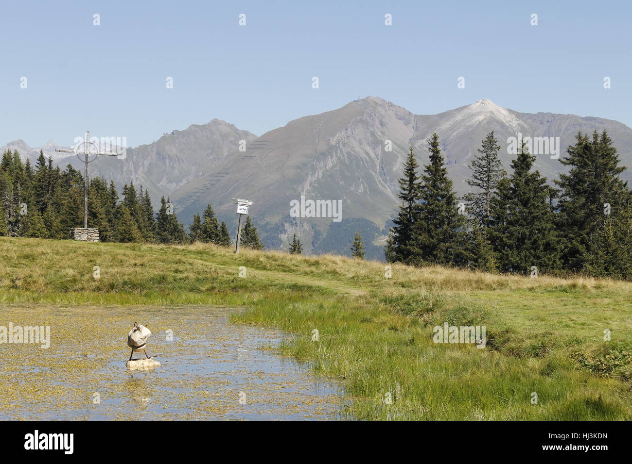 small mountain lake in the Alps in Italy Stock Photo - Alamy