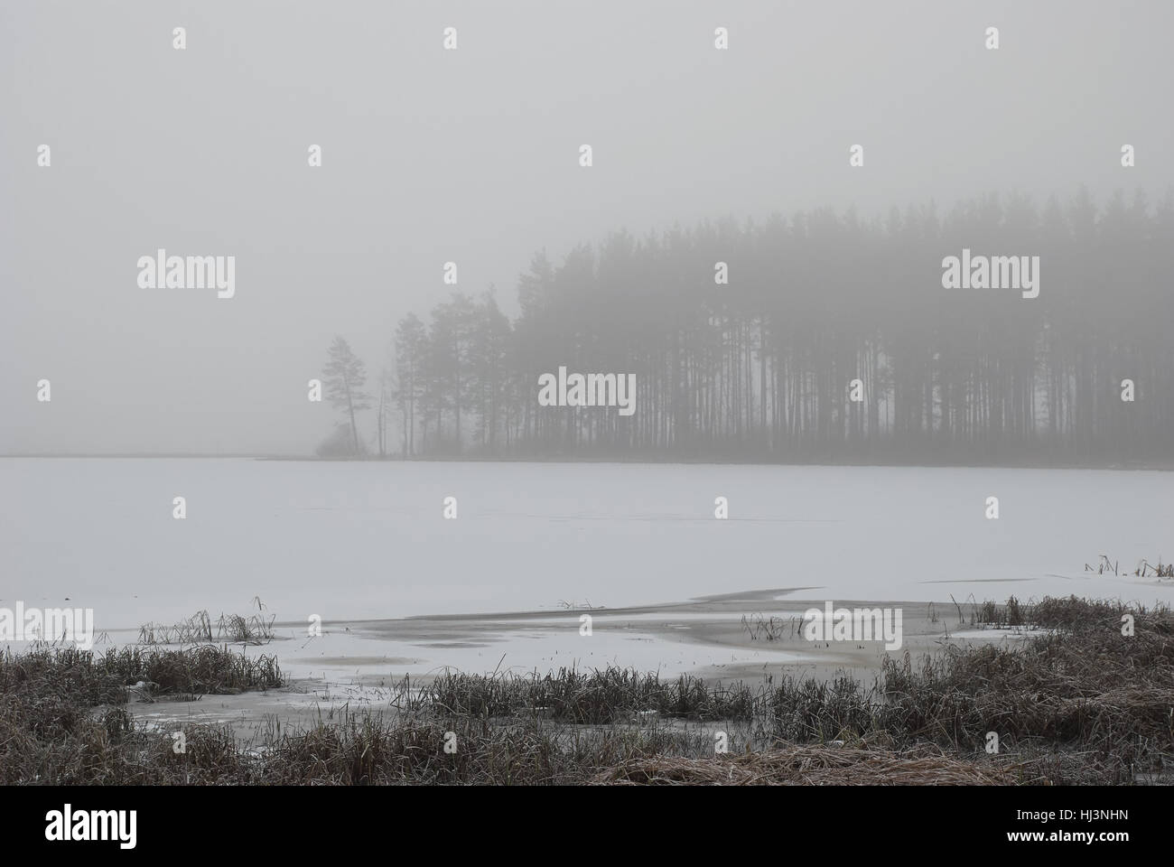 Smoky fog landscape of the lake in winter. Peno lake, Tver oblast, Russia. Stock Photo