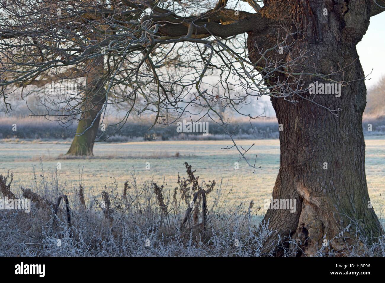 A frosty morning in the countryside Stock Photo