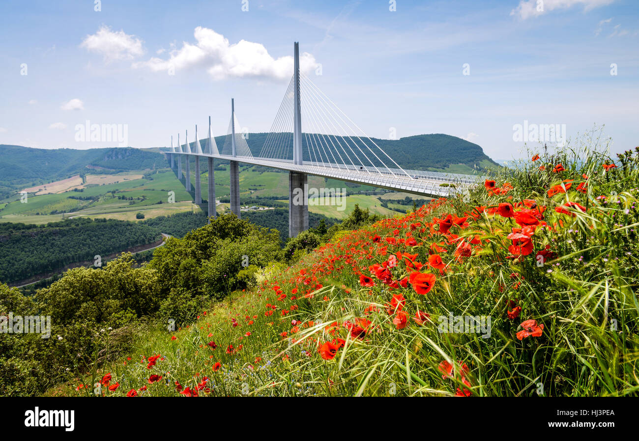 Millau Viaduct, cable-stayed bridge that spans the valley of the River Tarn near Millau in southern France    photographer Fraser Band     07984 163 2 Stock Photo
