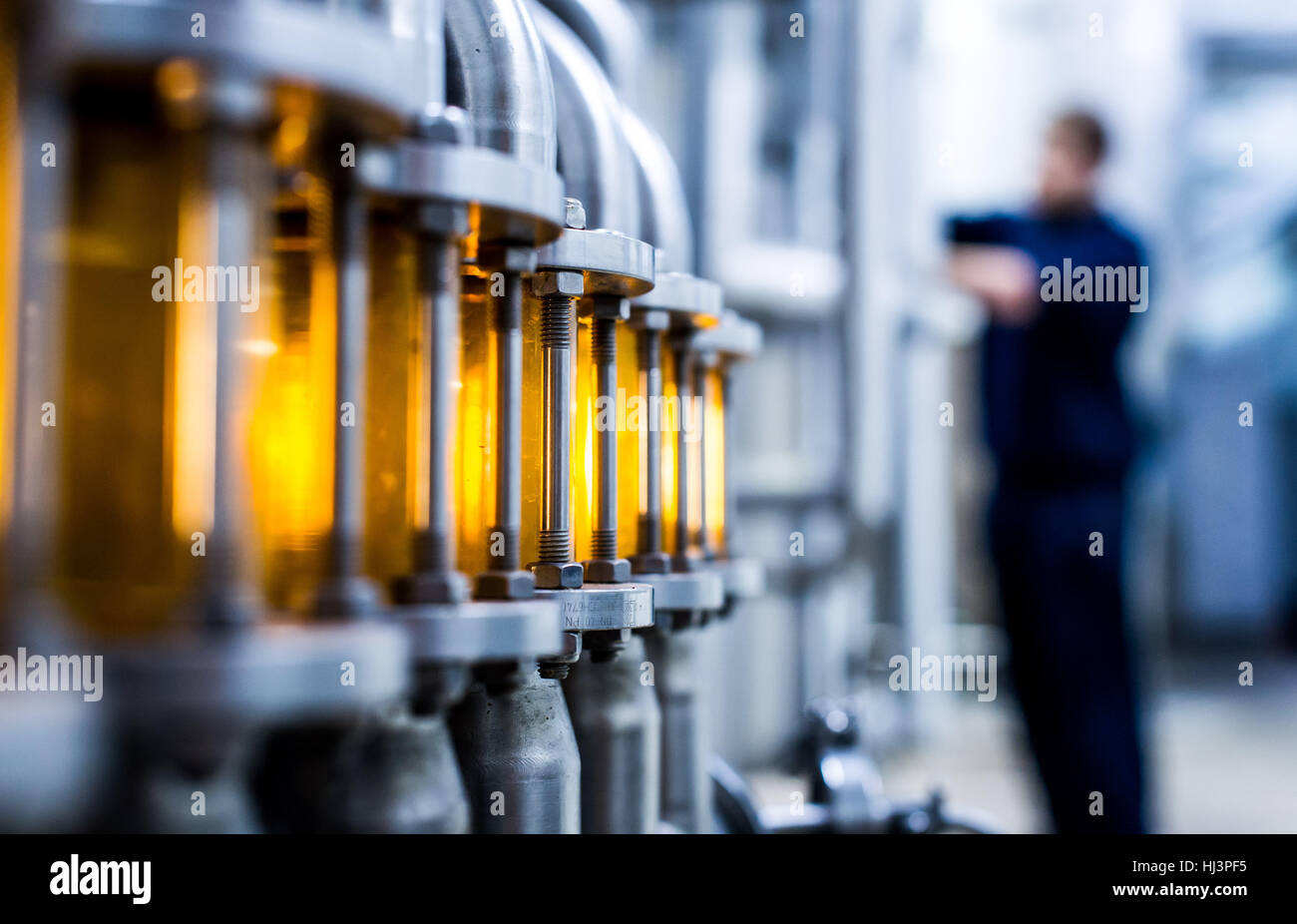 Beer brewing production at various stages from grain to bottle Stock Photo Alamy
