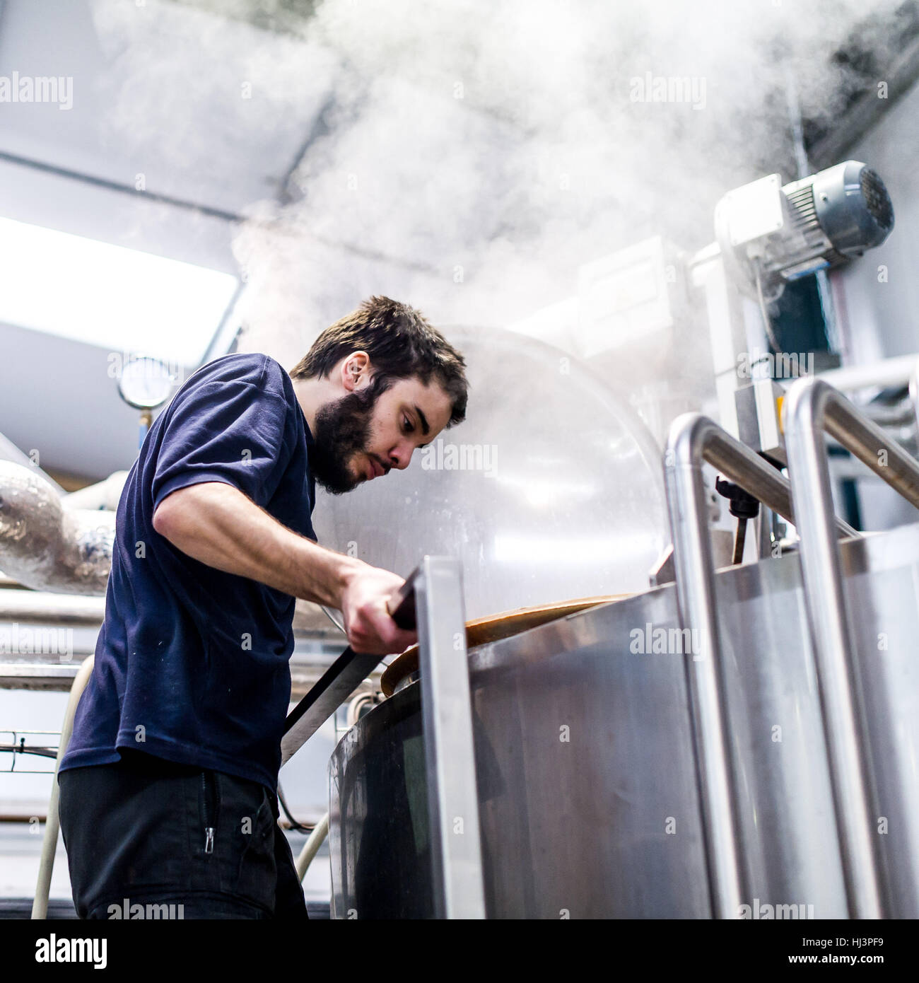 Beer brewing production at various stages from grain to bottle Stock