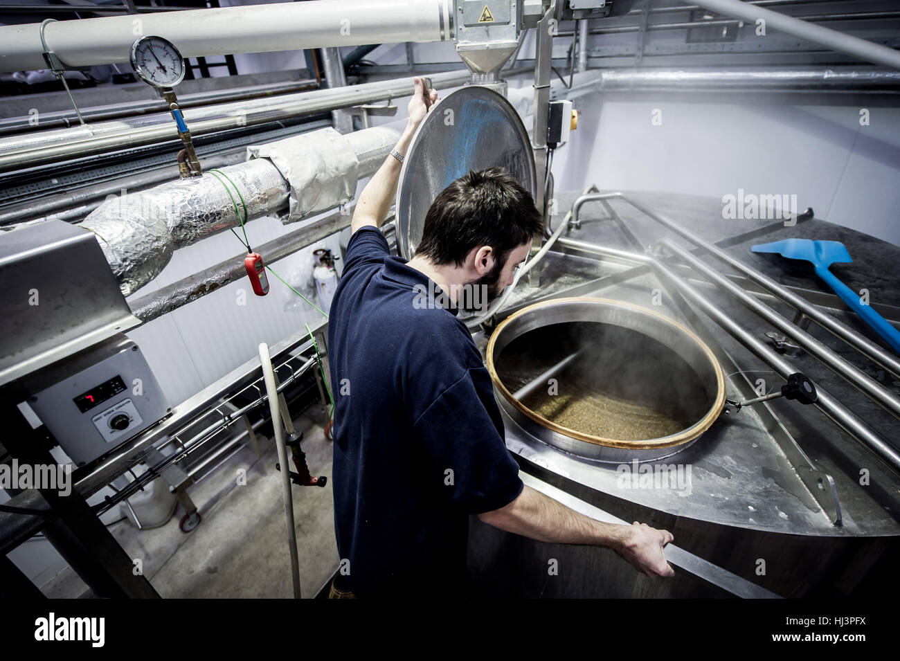 Beer brewing production at various stages from grain to bottle. Stock Photo