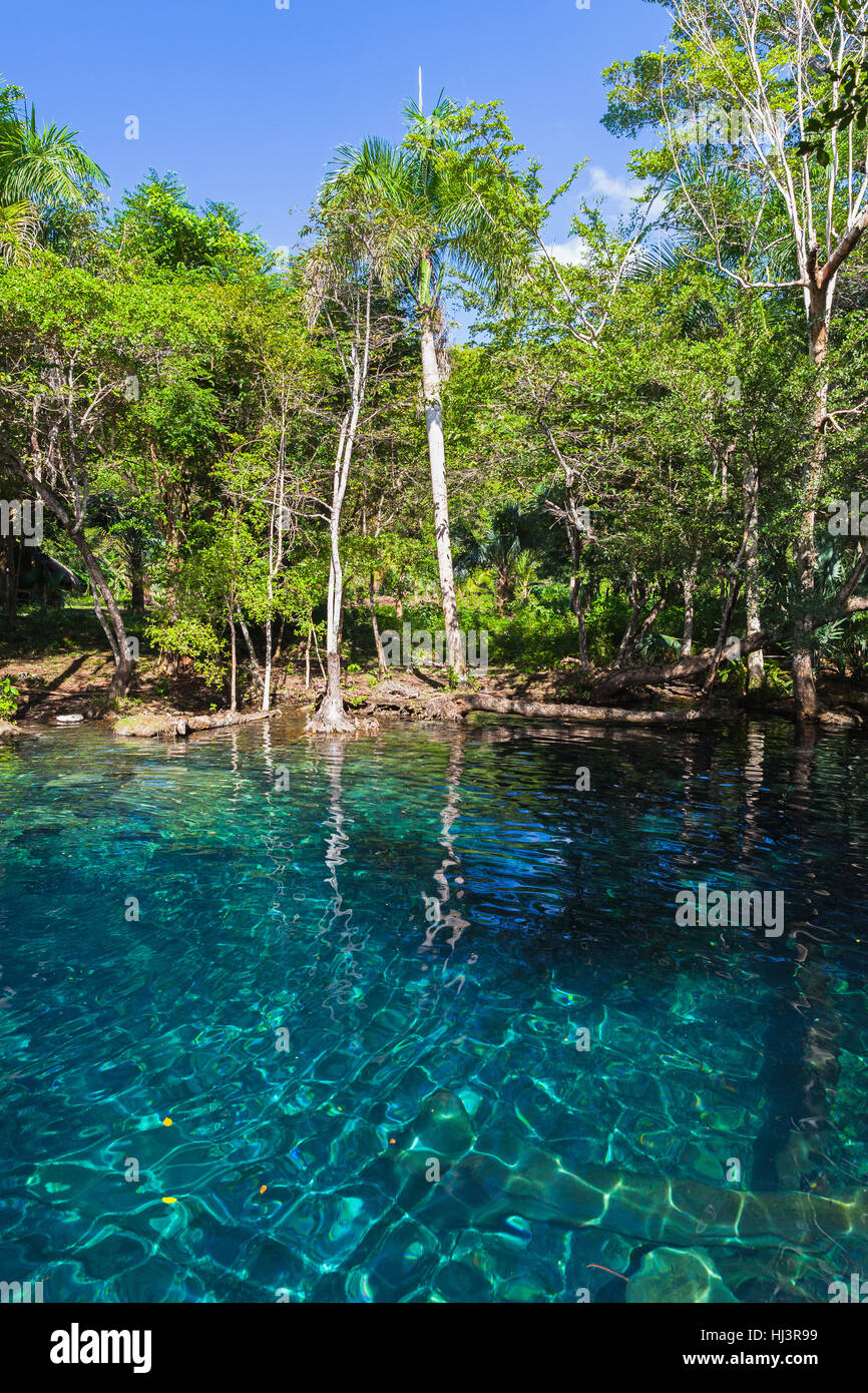 Small still lake in the forest, natural landscape of Dominican Republic Stock Photo