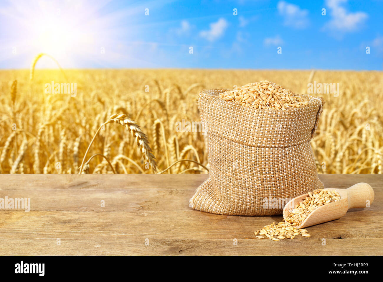 wheat grains in sack on nature background Stock Photo - Alamy