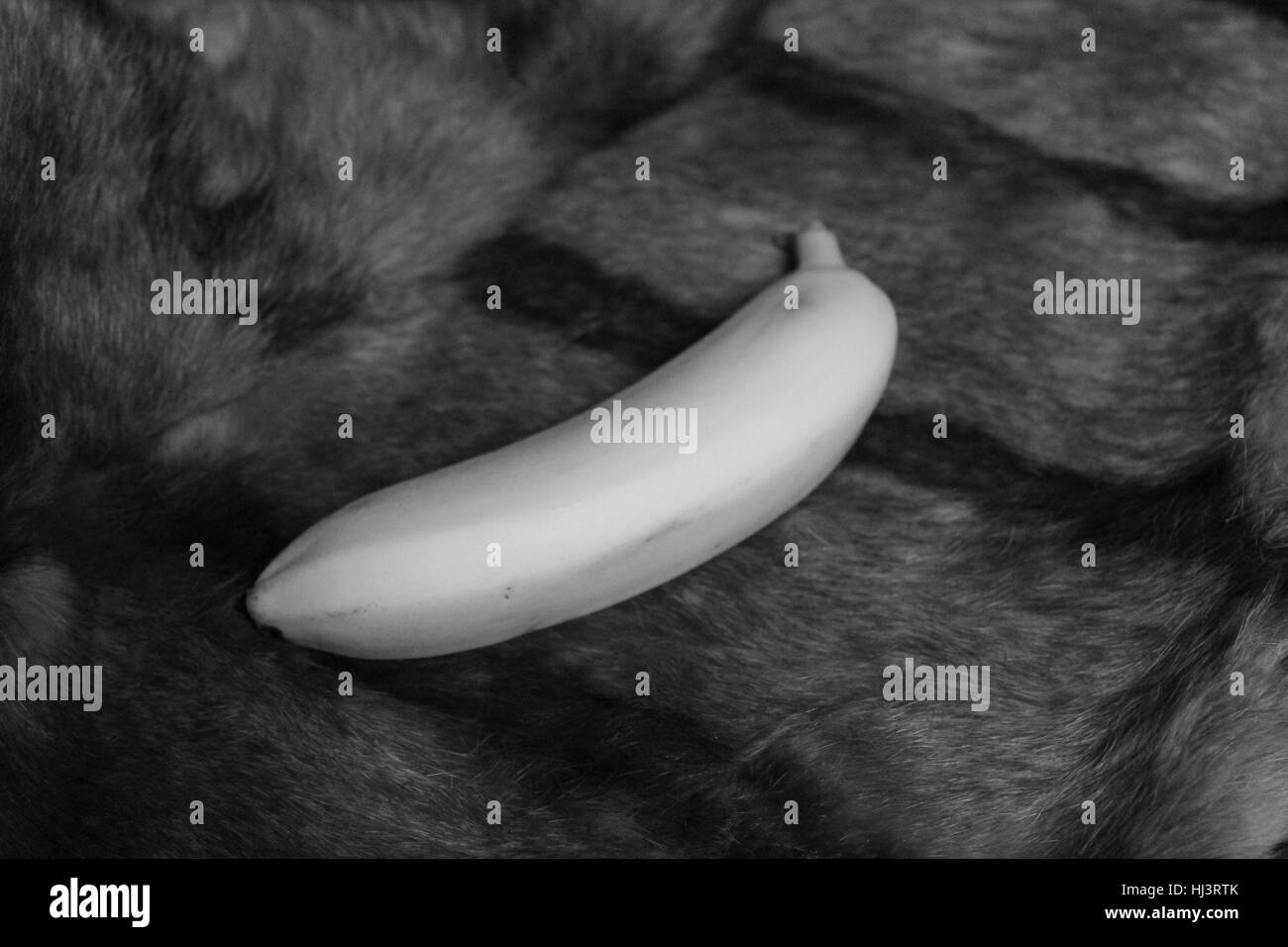 appetizing sweet banana lay on dark fur nice  healthy snack and object for art Stock Photo