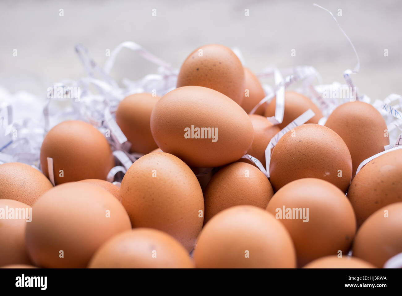 Protein animal egg hi-res stock photography and images - Alamy