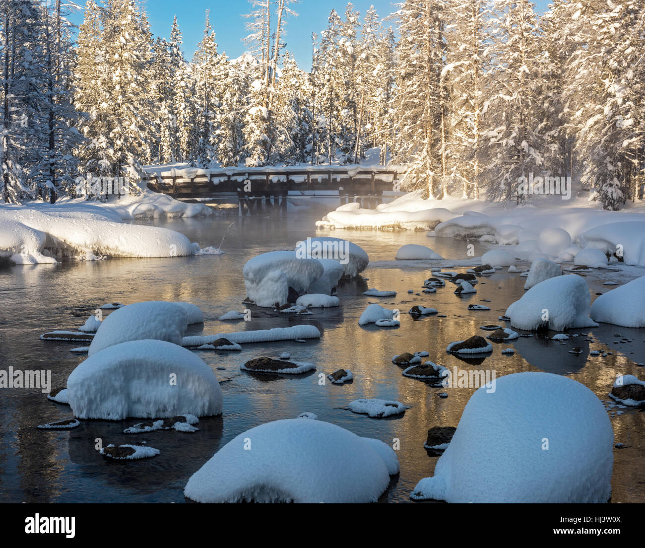 Snow covered forest in winter with a wood bridge Stock Photo - Alamy