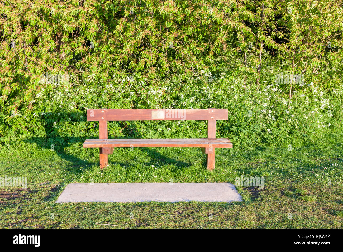 Wooden bench in memory of a relative or friend, Nottingham, England, UK Stock Photo