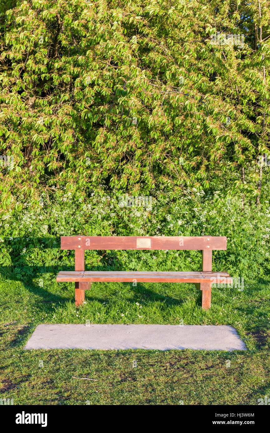 Memorial seating. Wooden bench in memory of a relative or friend in a park, Nottingham, England, UK Stock Photo
