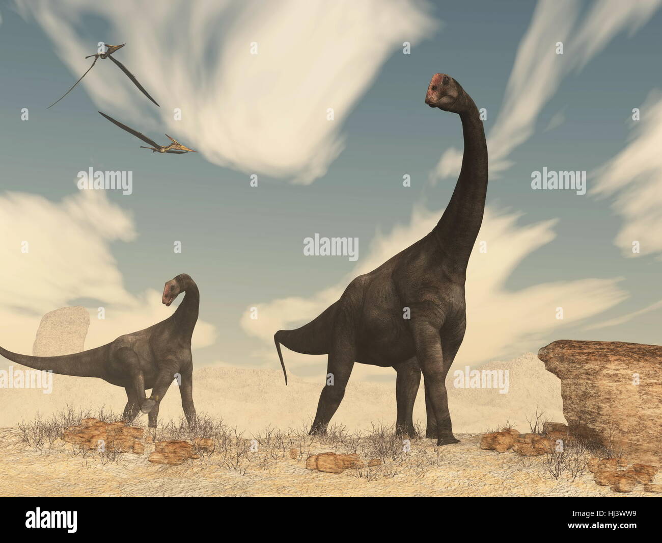 Two brontomerus dinosaurs walking in the desert - 3D render Stock Photo ...