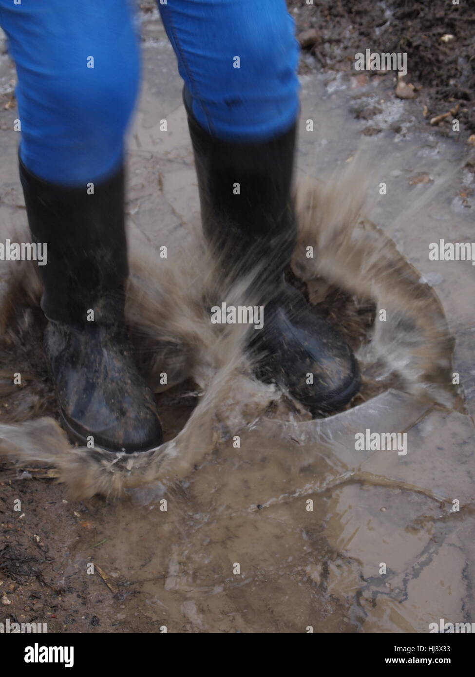 Countryside Horses And Wellies Stock Photo - Alamy