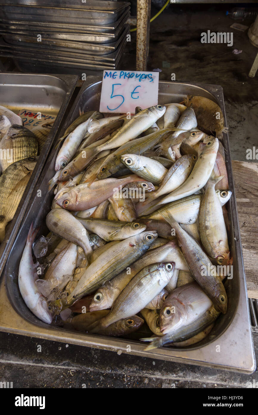 Fresh fish, the common pandora (Pagellus erythrinus) in the tray. Fish market in Heraklion. Crete. Greece. Stock Photo