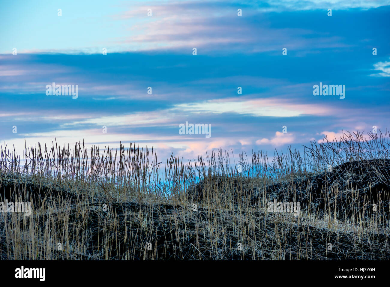 A grassy marsh along a hillside in Iceland framed against a pastel sunset as the day slips to night. Stock Photo