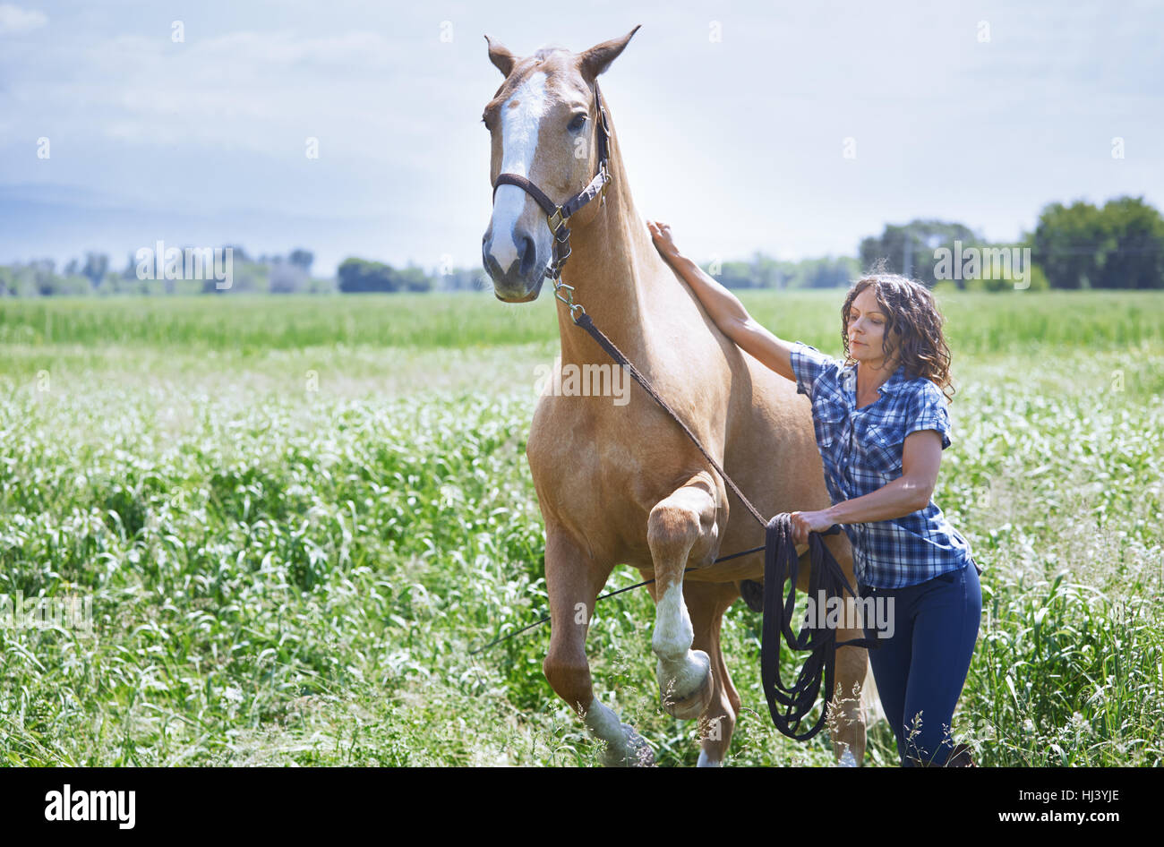 Woman training her horse at paddock Stock Photo