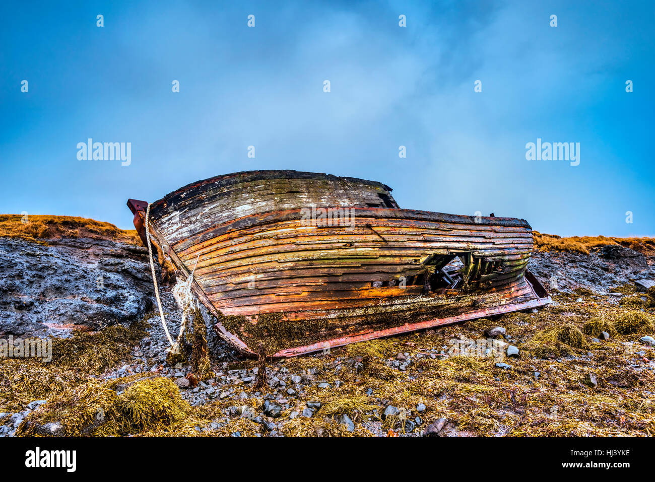 An old abandoned fishing vessel from the early 1900's rests on a remote beach as it rots, exposing the ship's wooden ribs and hull infrastructure. Stock Photo