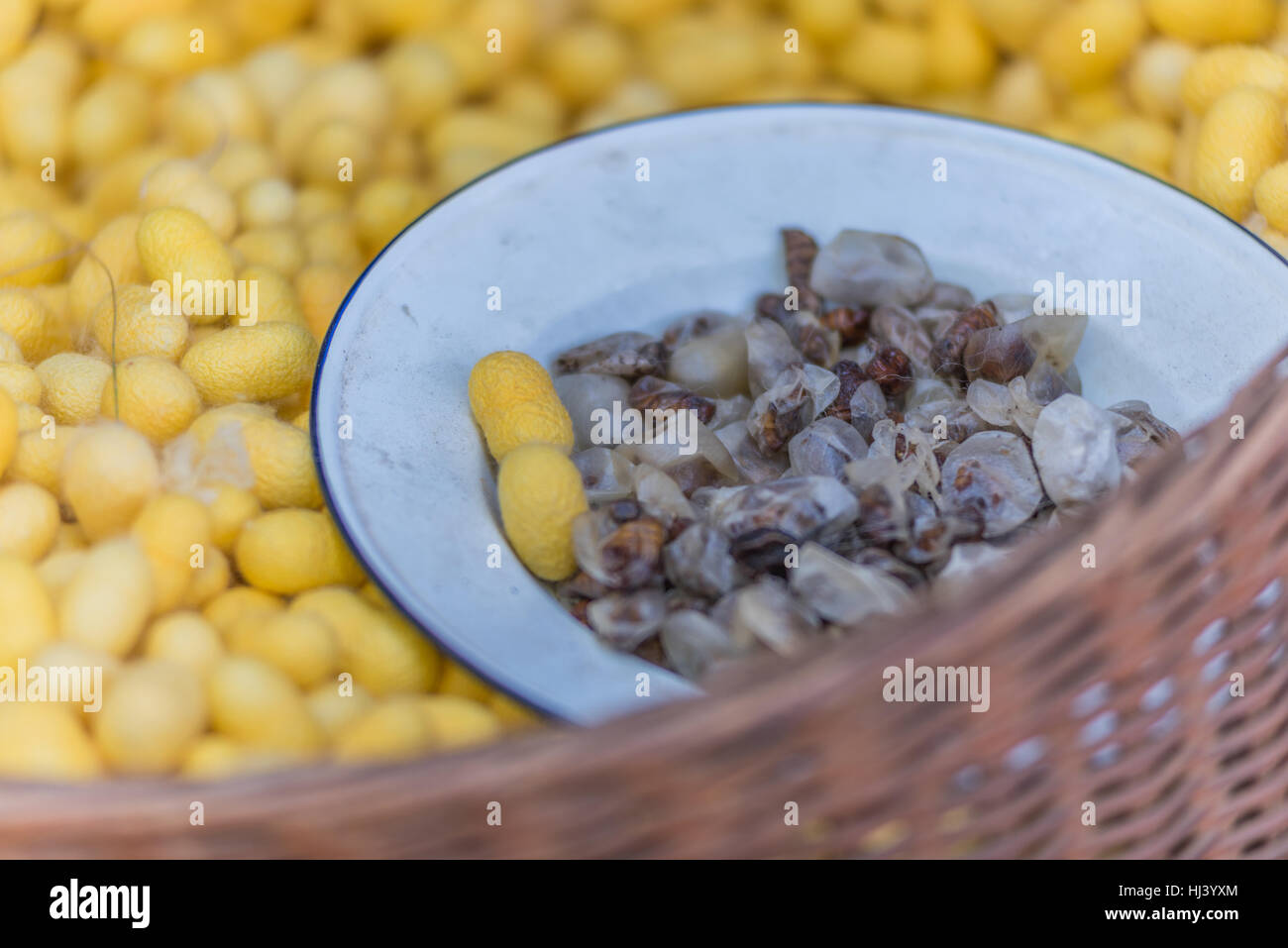 Sericulture and silk thread Stock Photo