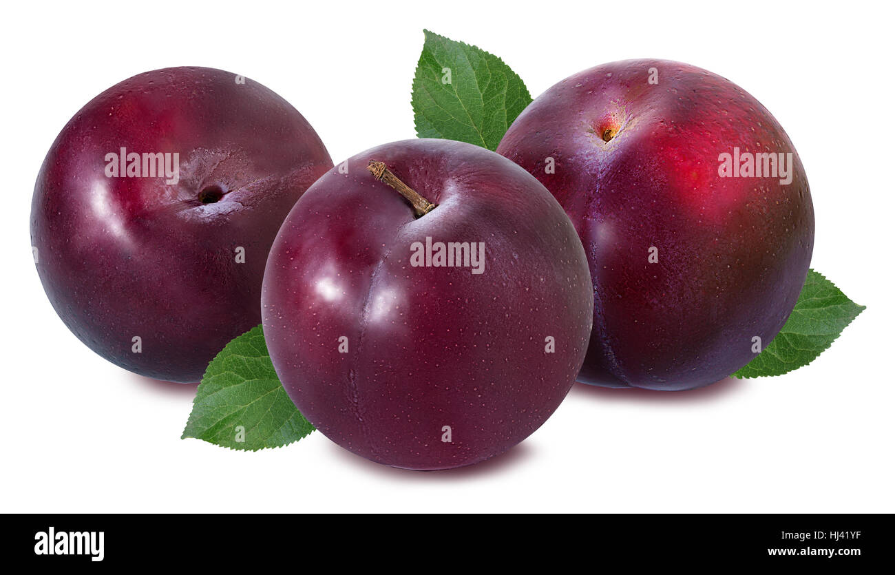 plum on a white background Stock Photo