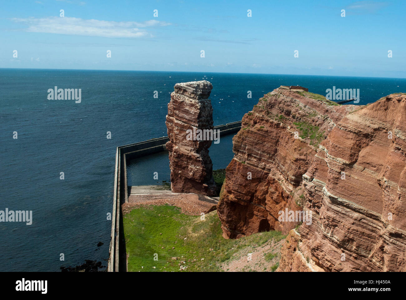 stone, bird, birds, water, baltic sea, salt water, sea, ocean, cliff