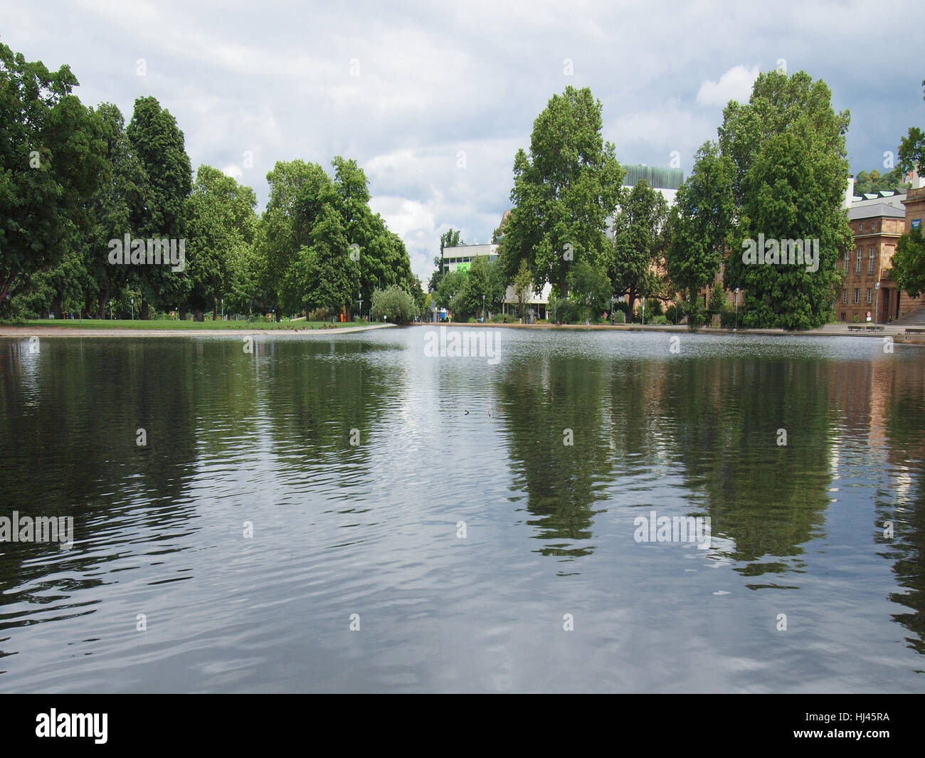 tree, trees, park, blank, european, caucasian, europe, germany, german federal Stock Photo