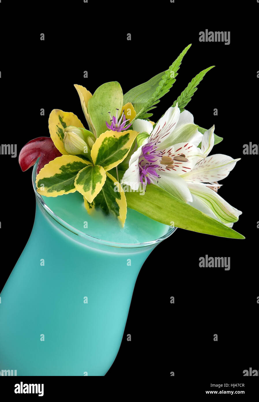 blue, drink, drinking, bibs, isolated, green, flower, flowers, plant