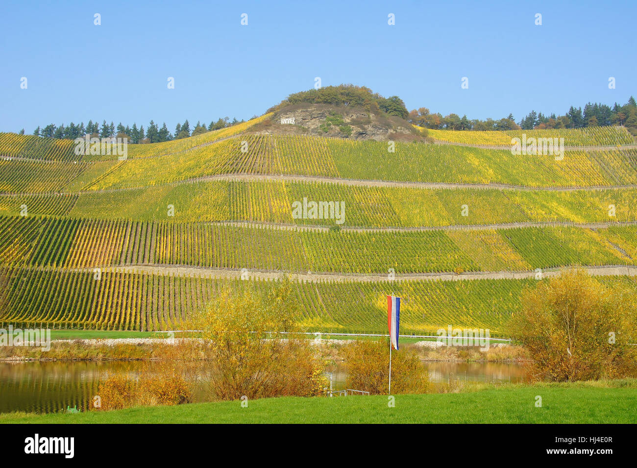 vineyard brauneberger chamberrn Stock Photo
