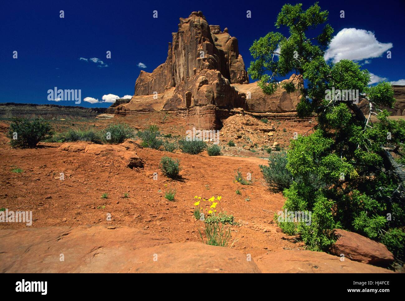 Rock in Arches National Park, USA, Utah Stock Photo