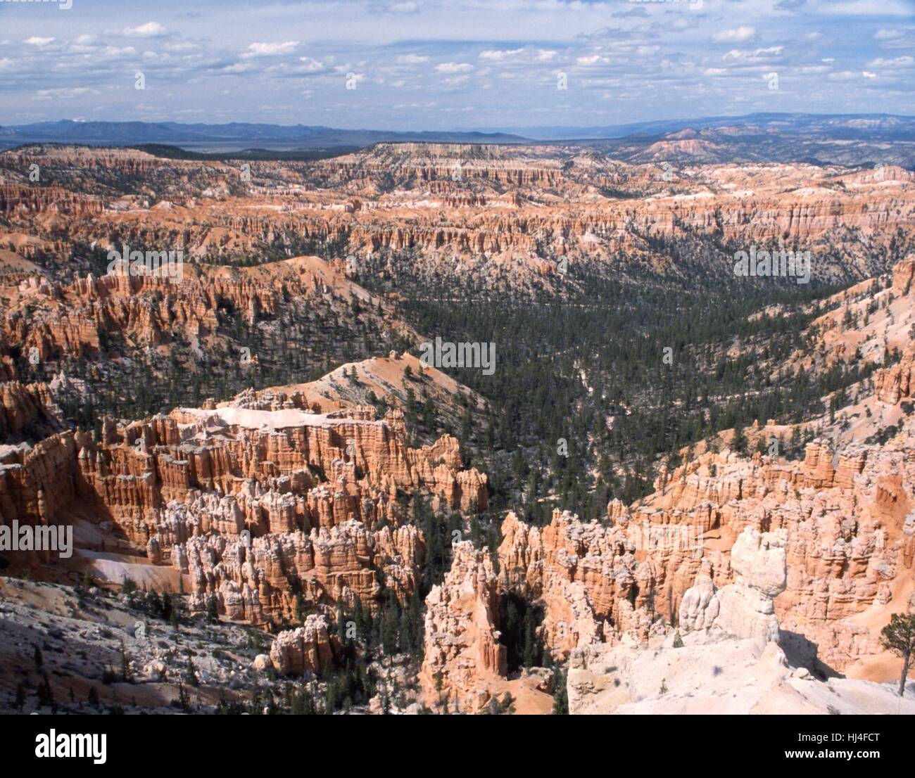 Overview of Bryce Canyon, USA, America, Utah Stock Photo