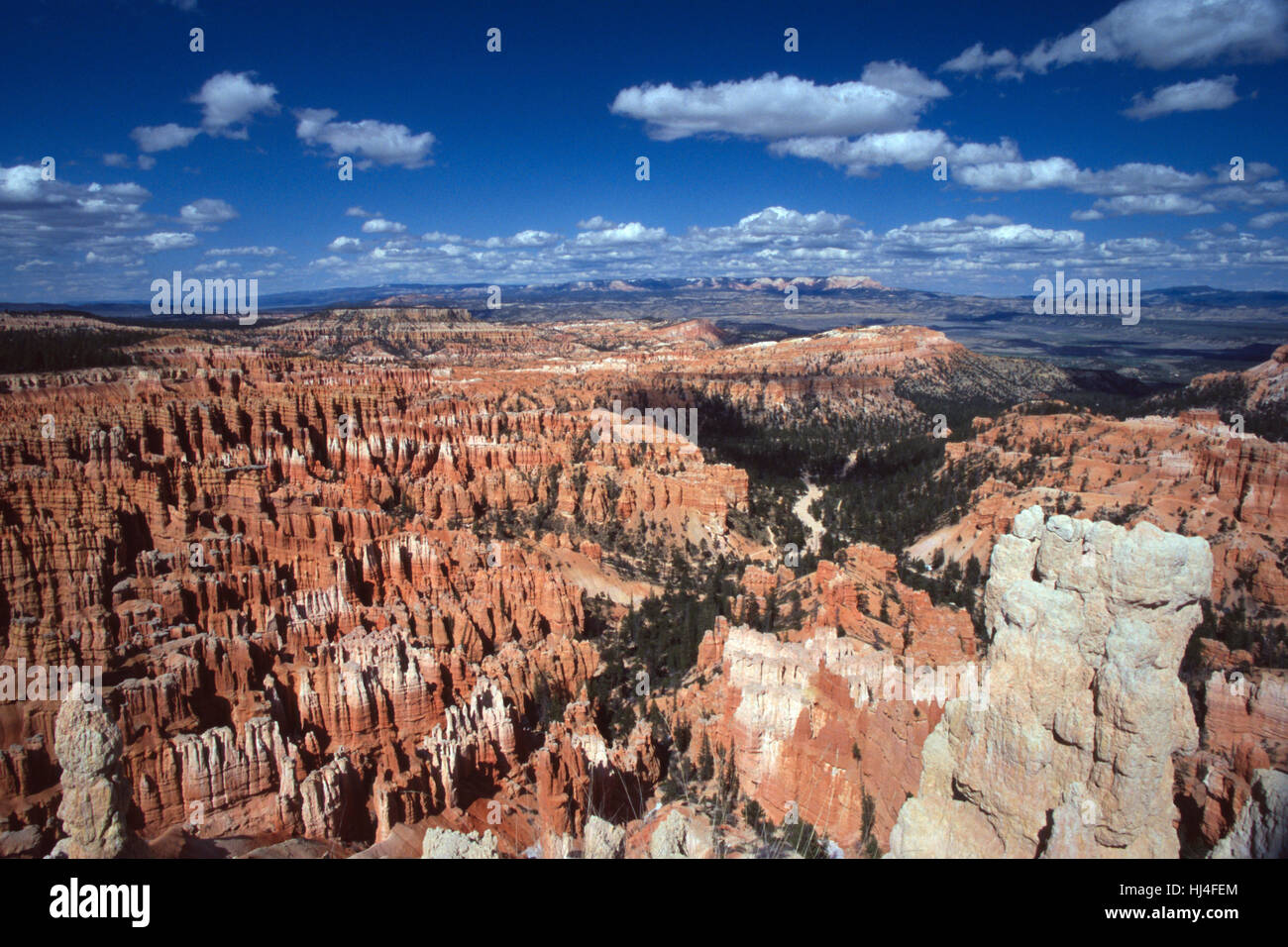 Overview of Bryce Canyon, USA, Utah Stock Photo