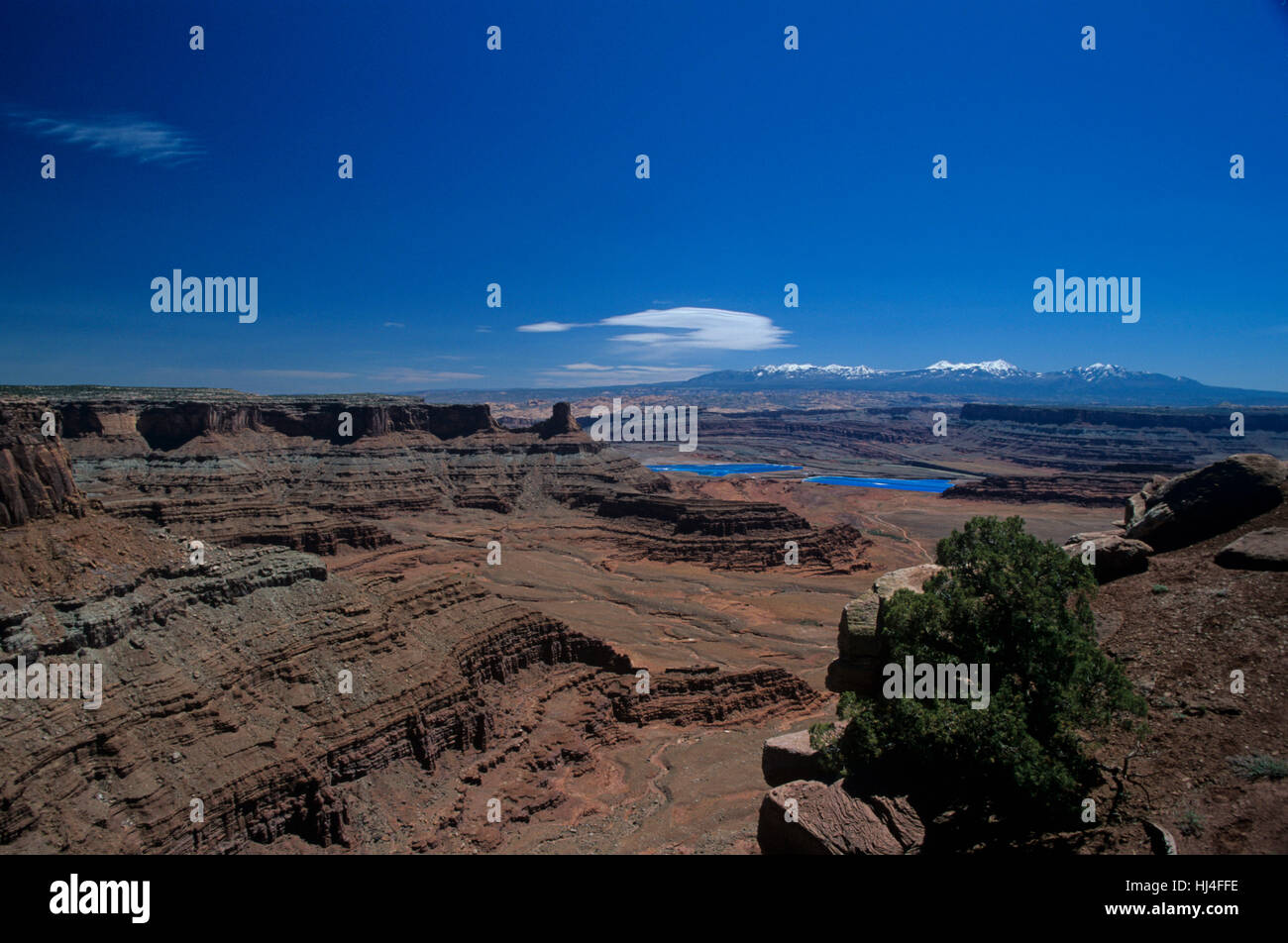 Canyonlands Nationalpark, USA, Utah Stock Photo